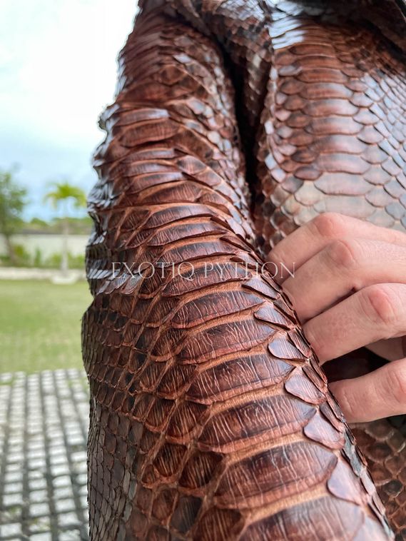 Мужская куртка из кожи питона JT-122