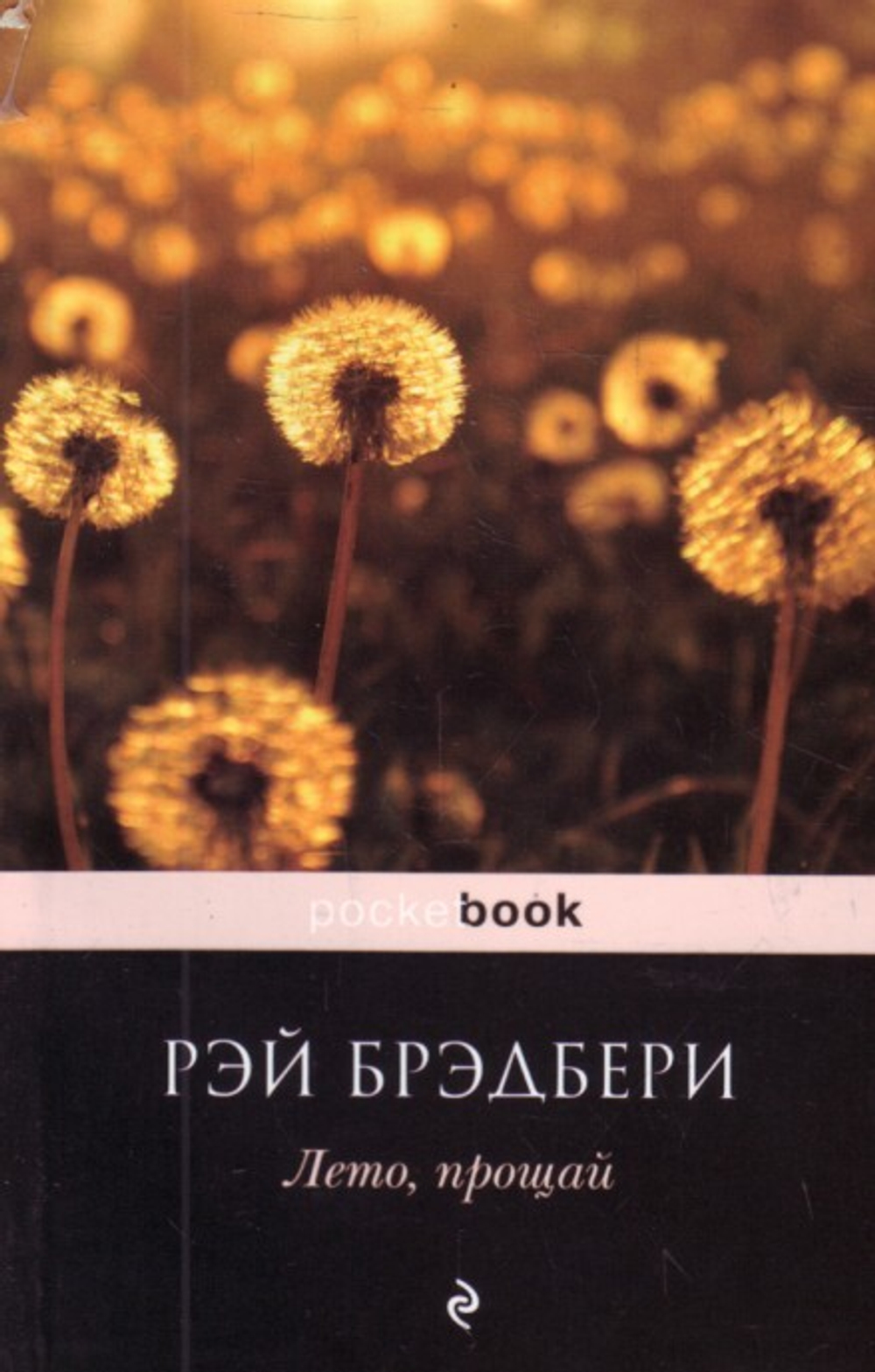 Лето, прощай