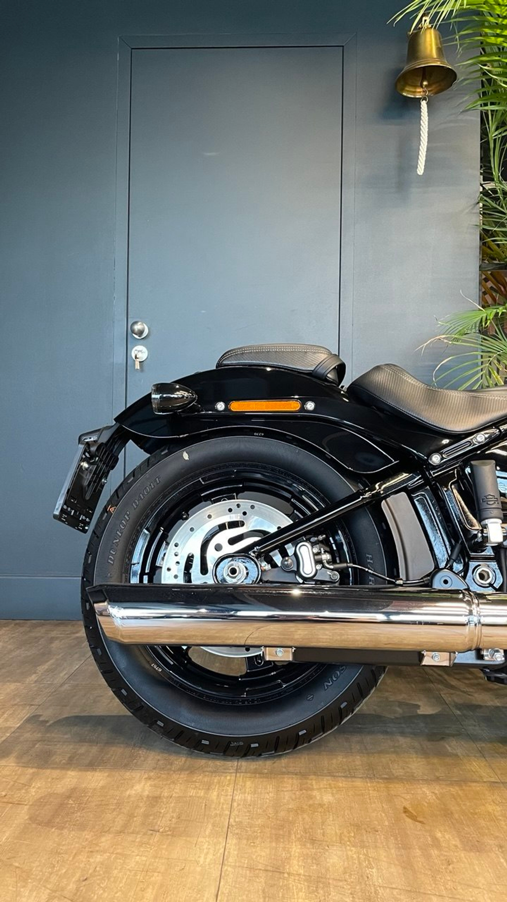 Harley-Davidson Street Bob 117 (2025)