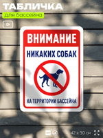 Табличка для бассейна "Внимание, никаких собак", на пляж, для общественной и частной зоны отдыха, информационная, 40х30 см, Silver Plane x Айдентика Технолоджи