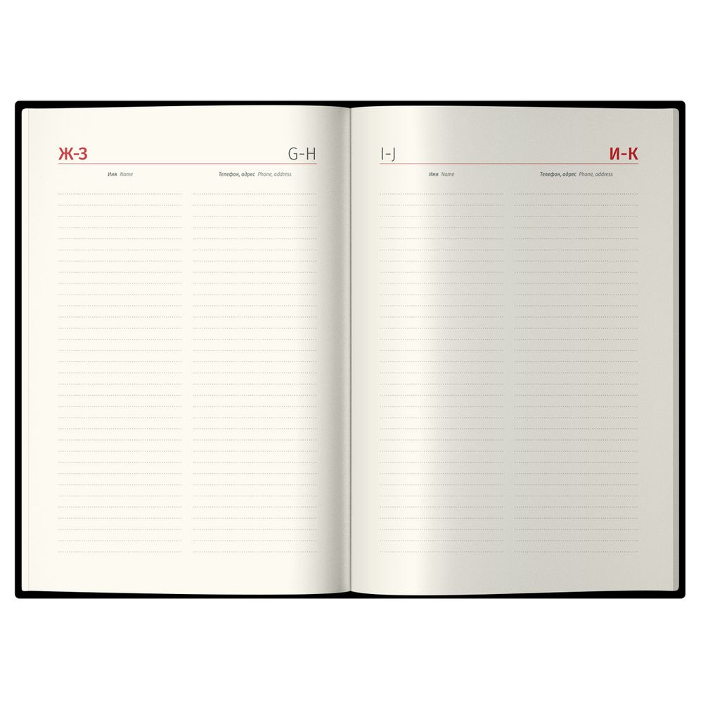 Датированный ежедневник Delucci (DD5_89402) 5