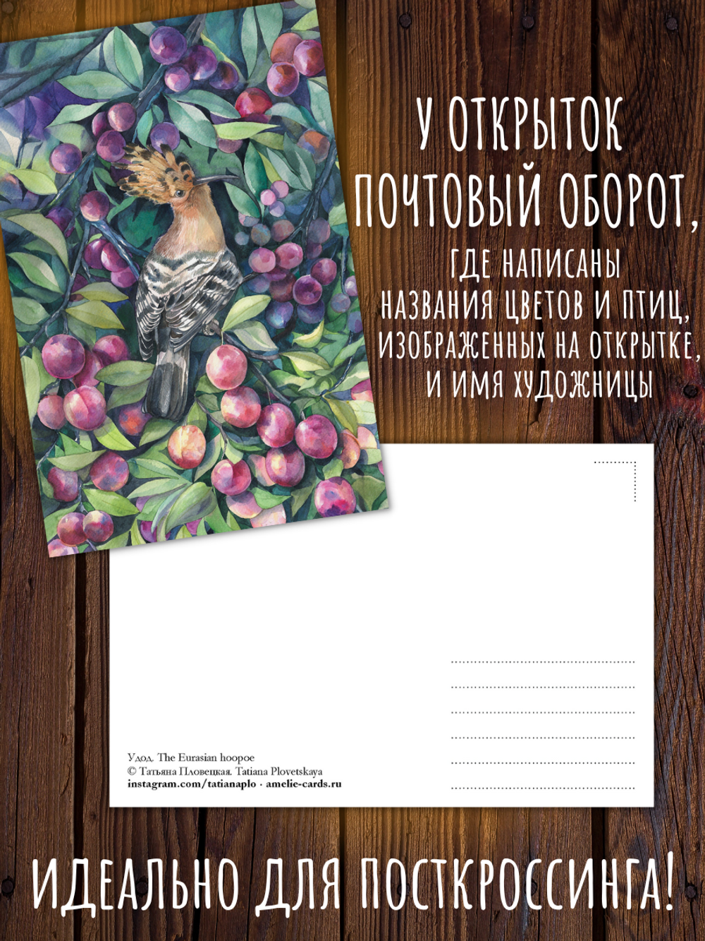 В саду. Иллюстрации Татьяны Пловецкой. 10 открыток