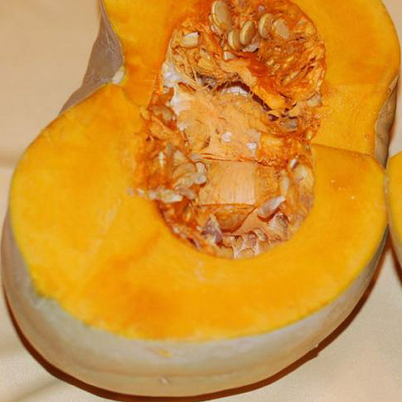 САМПСОН F1 семена тыквы Enza Zaden отзывы – фото 3