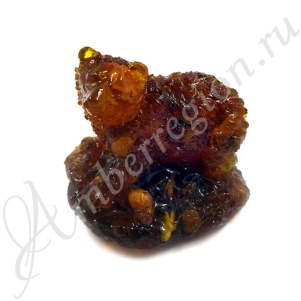 Медведь кудрявый