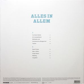Einsturzende Neubauten / Alles In Allem (LP)