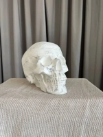 Статуэтка - Скульптура Череп для интерьера и декора