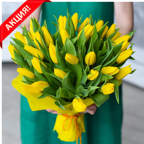 Купить Букет 35 желтых тюльпанов