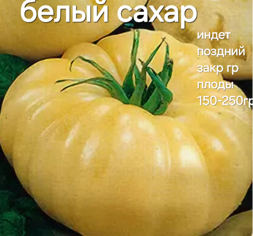 БЕЛЫЙ САХАР
