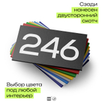 Номер на дверь 246, табличка на дверь для офиса, квартиры, кабинета, аудитории, склада, черная 120х70 мм, Айдентика Технолоджи
