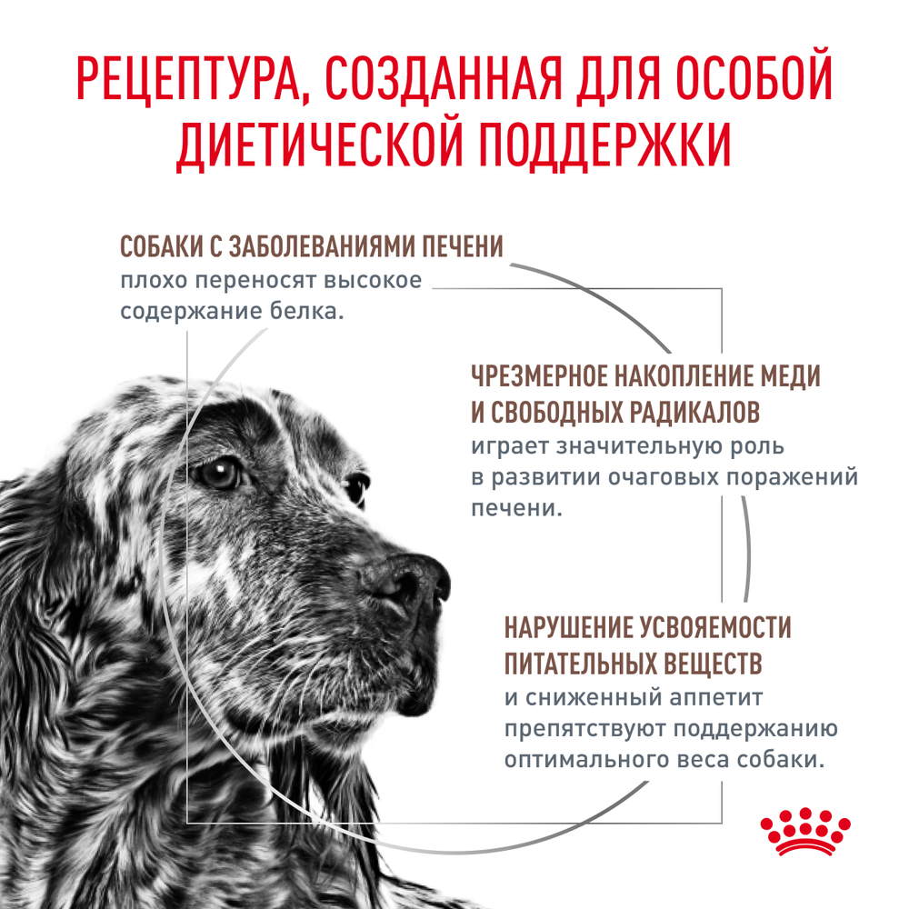 Royal Canin Hepatic Canine Гепатик канин Корм сухой диета для собак для поддержания функции печени 6кг