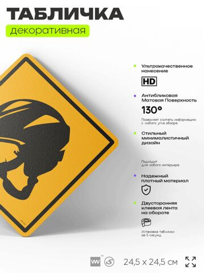 Табличка декоративная "Шлем сноубордиста, лыжника" на дверь и стену, спортивная, информационная, декоративный знак, 24,5х24,5 см, пластиковая, Айдентика Технолоджи