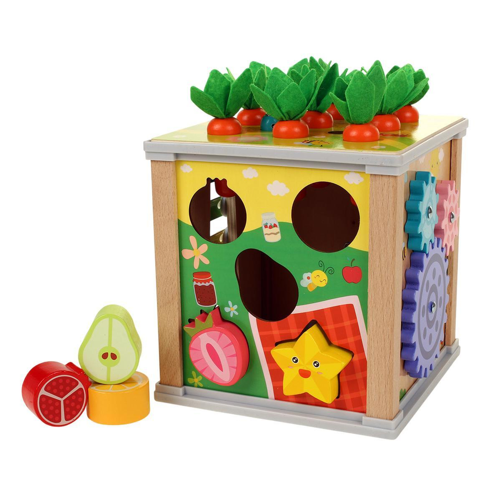 Развивающая игрушка деревянная Сортер обьемный 6 в 1, коробка C-41841