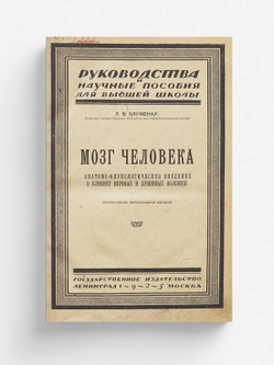 Мозг человека | Блуменау Леонид Васильевич