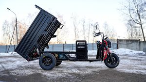Грузовой электрический трицикл WHITE SIBERIA SIBTRIKE PRO CARGO 2000W (60V/36Ah) - версия 2025 года фото №20
