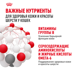 Корм консервированный Royal Canin Hair&Skin Care полнорационный для взрослых кошек для поддержания здоровья кожи и красоты шерсти, тонкие ломтики в желе - 85 гр