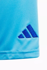 Шорты adidas Tiro 24 Junior
