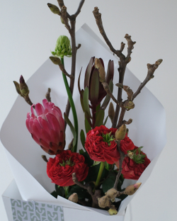 Букет с ветками магнолии, протеей и пионовидными розами Ред Монстр