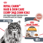 Royal Canin Hair&Skin Care паучи для взрослых кошек для поддержания здоровья кожи и красоты шерсти ломтики в соусе 85г