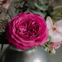 Капабилити (Capability)