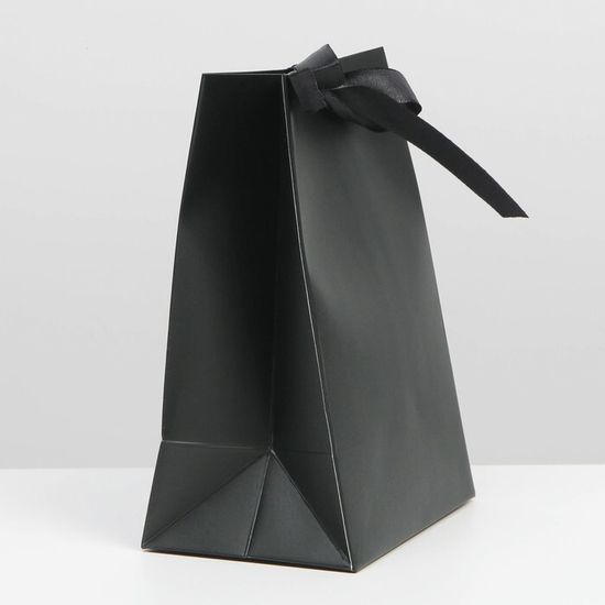 Пакет подарочный с лентой «Чёрный», 13 × 19 × 9 см 7303873