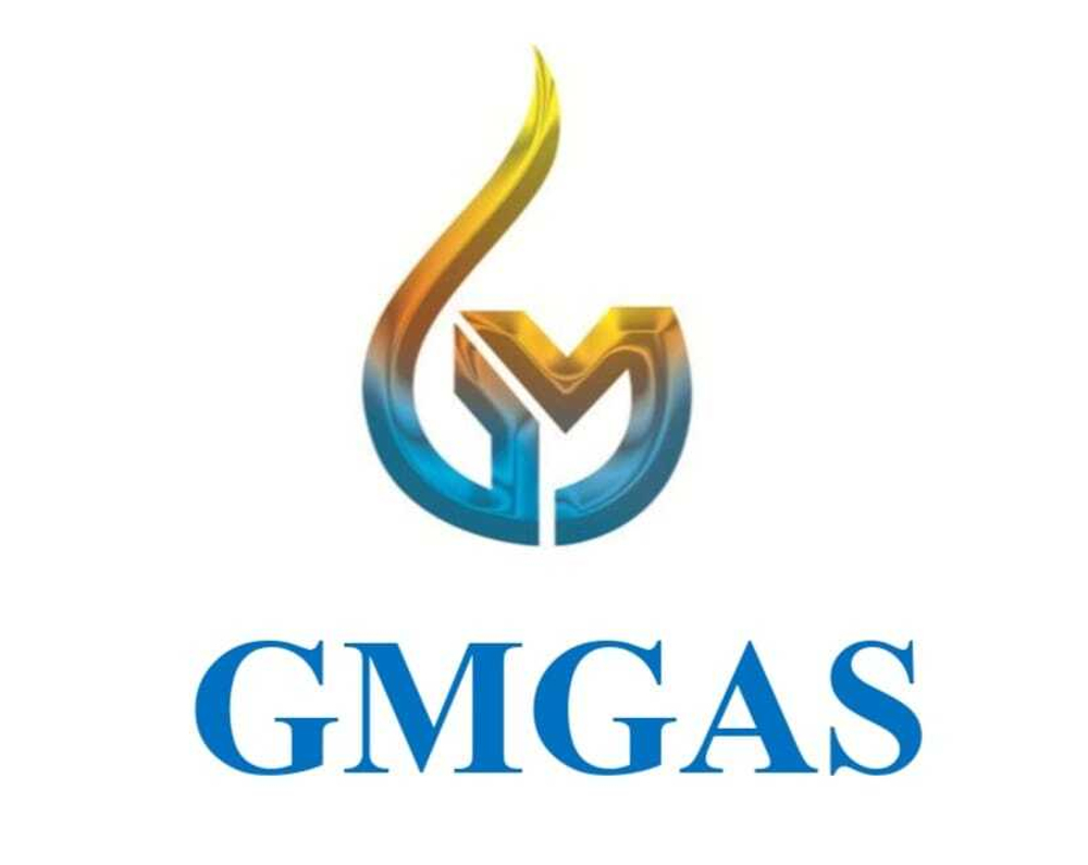 Газовый водонагреватель GMGAS GM 100