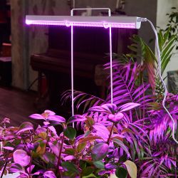 ULI-P20-10W-SPSB IP40 WHITE Светильник для растений светодиодный линейный. 560мм. выкл. на корпусе. Спектр для рассады и цветения. TM Uniel