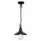 Уличный подвесной светильник Odeon Light Nature Campa 4965/1