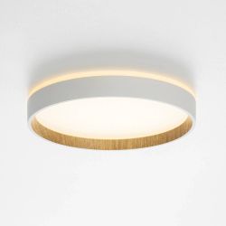 Citilux ETALON CL750240 LED Светильник с подсветкой Белый+Бук