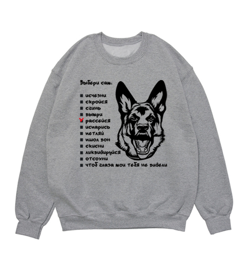 Свитшот "Выбери сам"