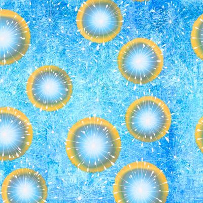 Одуванчики