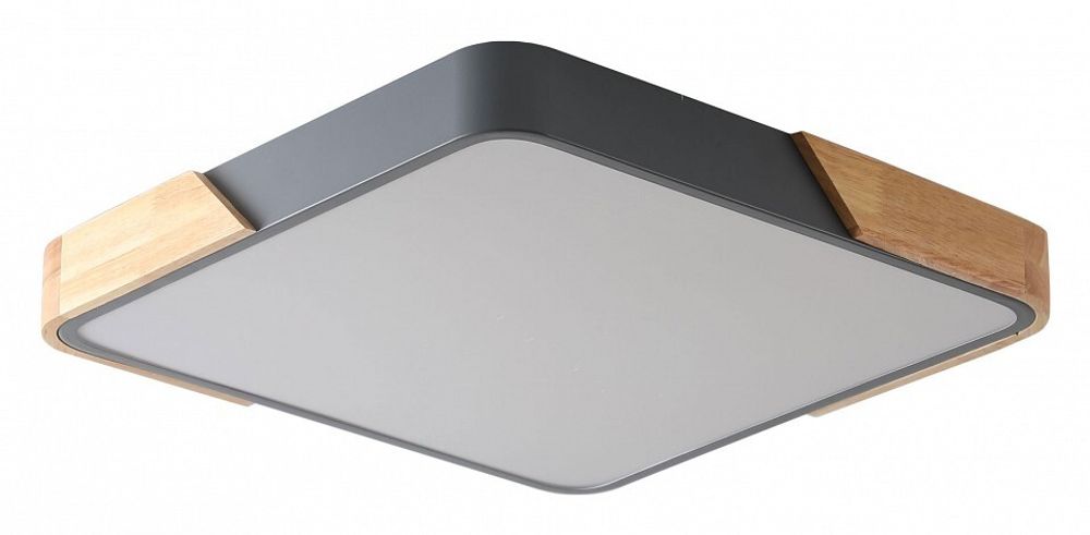 Накладной светильник Zortes Alberro ZRS.01288.48