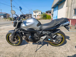 Yamaha FZ6-N 2009