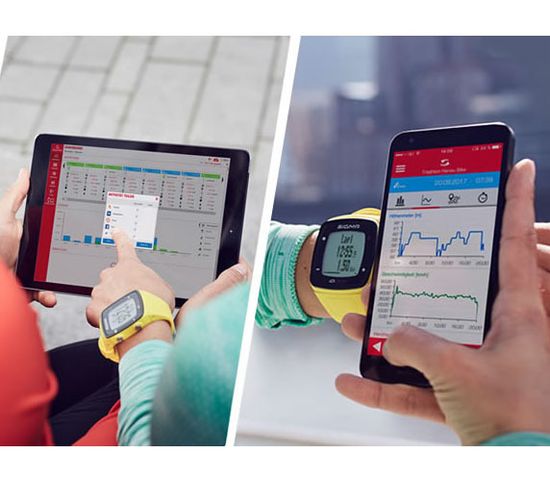 Пульсометр Sigma iD.Run 24800 черные, 6 функций