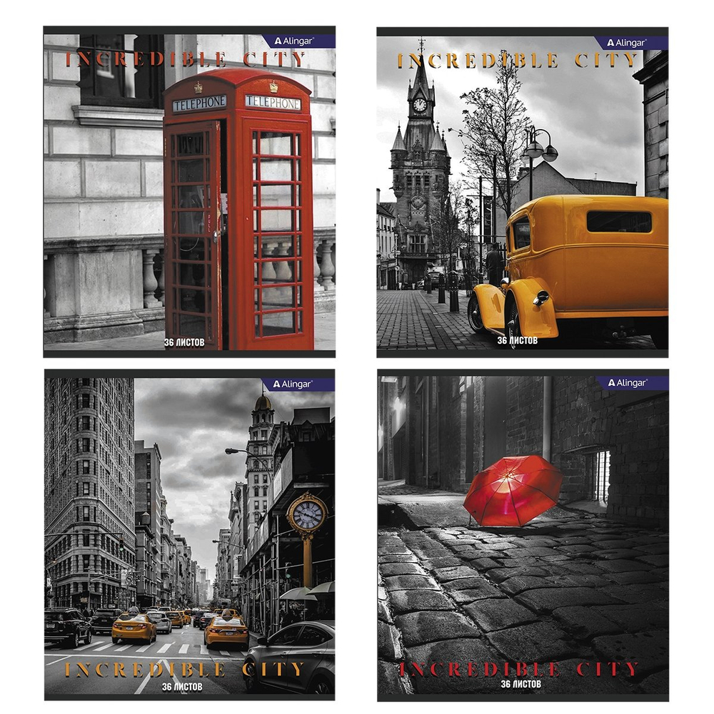 Тетрадь 36 л., А5, клетка, Alingar "Городские виды ", скрепка, офсет, мелованный картон (стандарт), 4 дизайна в пленке т/у
