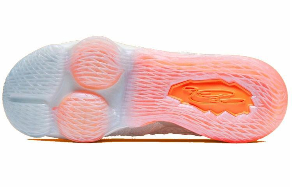 Кроссовки Nike Lebron 17 Future Air