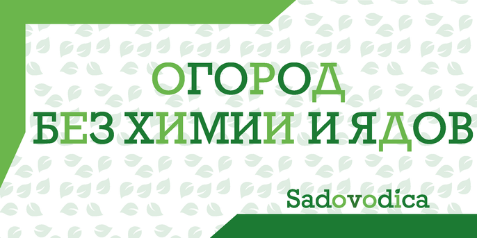 Лекция в Красноярске 4 апреля 2026 года        