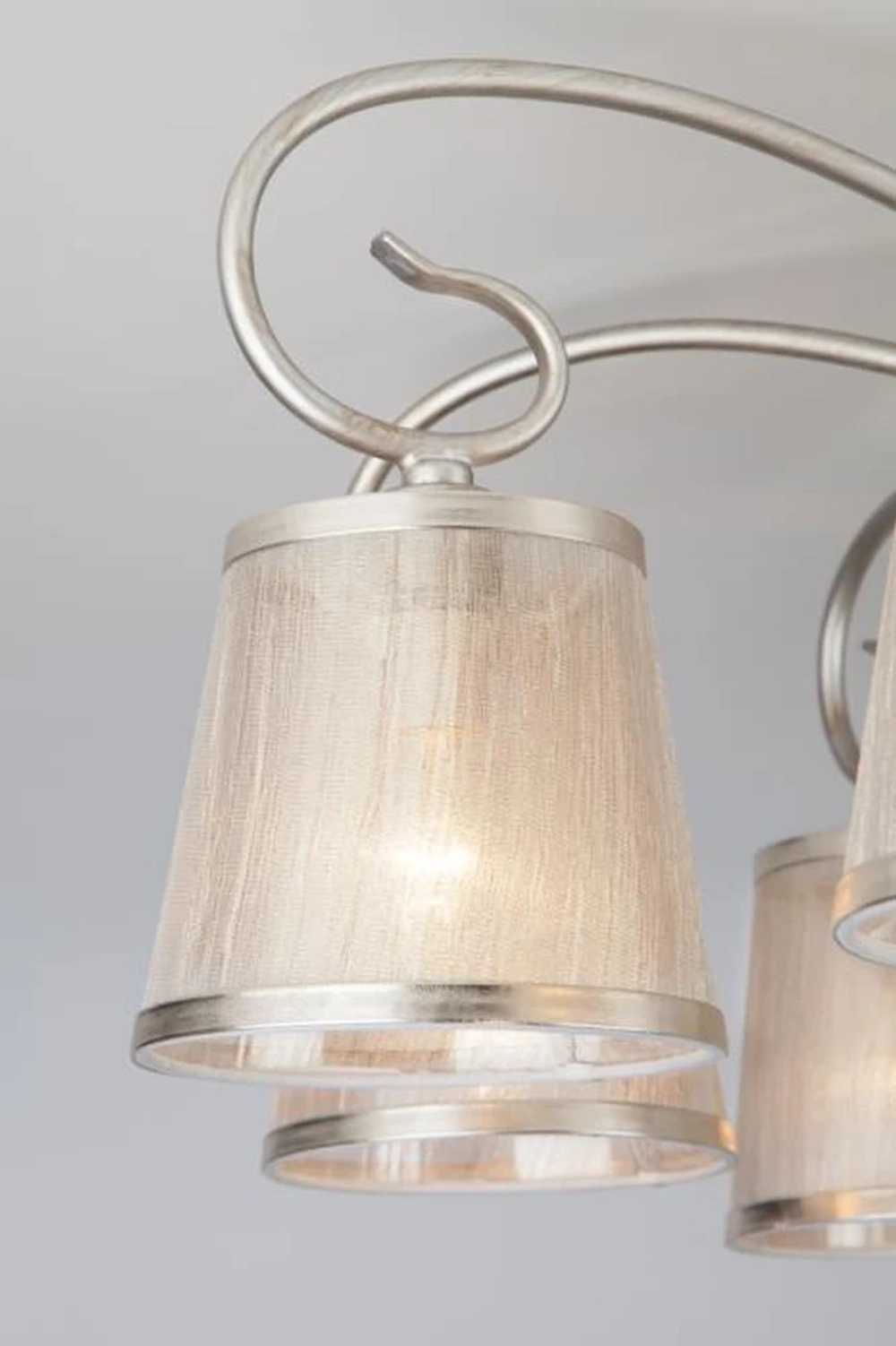 Потолочная люстра Eurosvet LIONA 60065/8 4690389114274