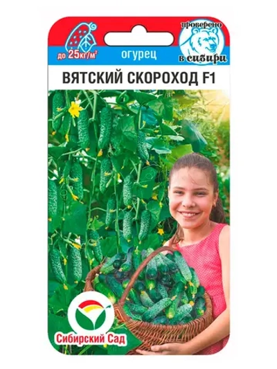 Огурец Вятский скороход 6шт (Сиб Сад)