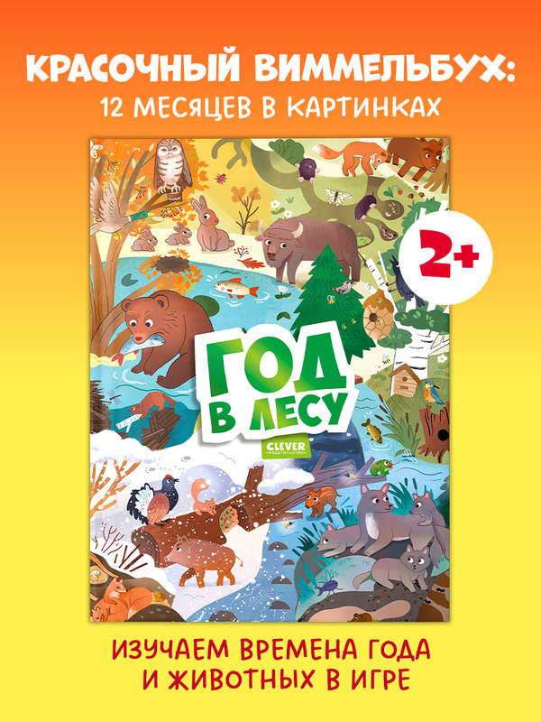 Виммельбух. Круглый год. Год в лесу