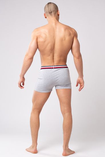 Мужские трусы R-124 Серый