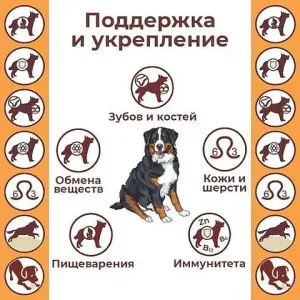 Уценка! Повр.упак. / Сухой корм Дилли для взрослых собак "Говяжья печень с овсянкой"
