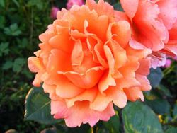 Изи Даз Ит (Easy Does It)