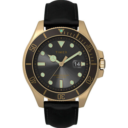 Мужские наручные часы Timex TW2V42200