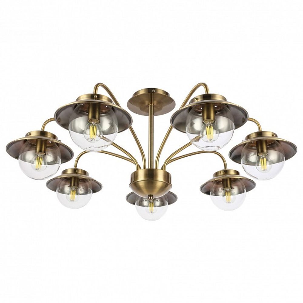 Потолочная люстра EVOLUCE Garonni SLE110102-07