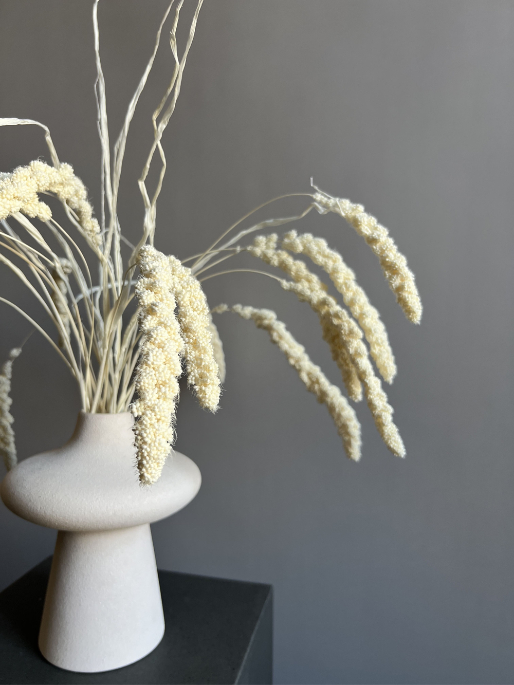 Сетария молочная