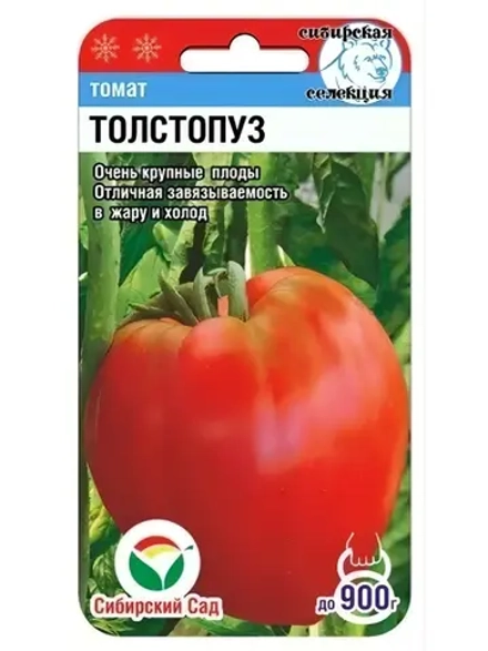 Томат Толстопуз /1 уп. 20 семян/