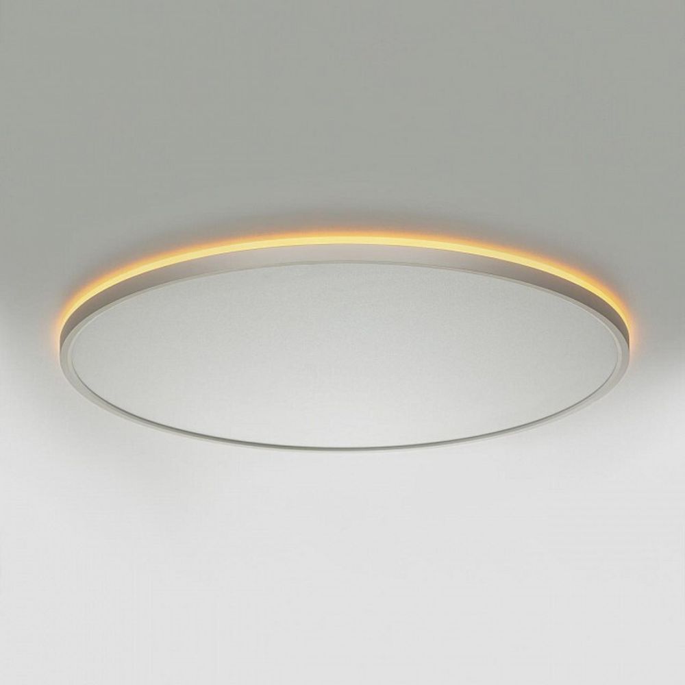 Накладной светильник Citilux NORMA CL749600