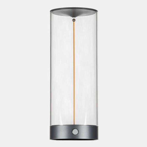 Настольная лампа Citilux Streng CL811011