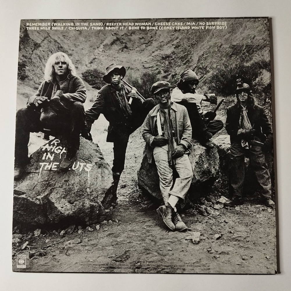 Винтажная виниловая пластинка LP Aerosmith Night In The Ruts (Japan 1979) (No Obi)