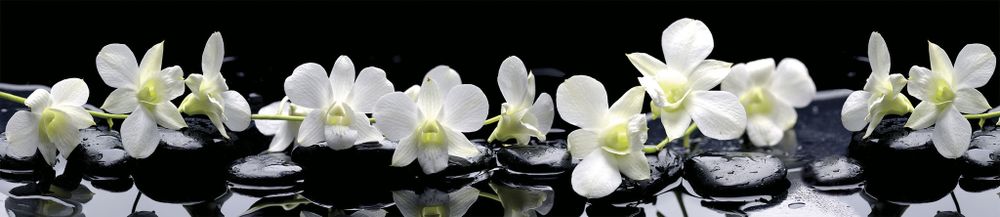 Стеновая панель 2800*610*6 (SP-091 глянец)